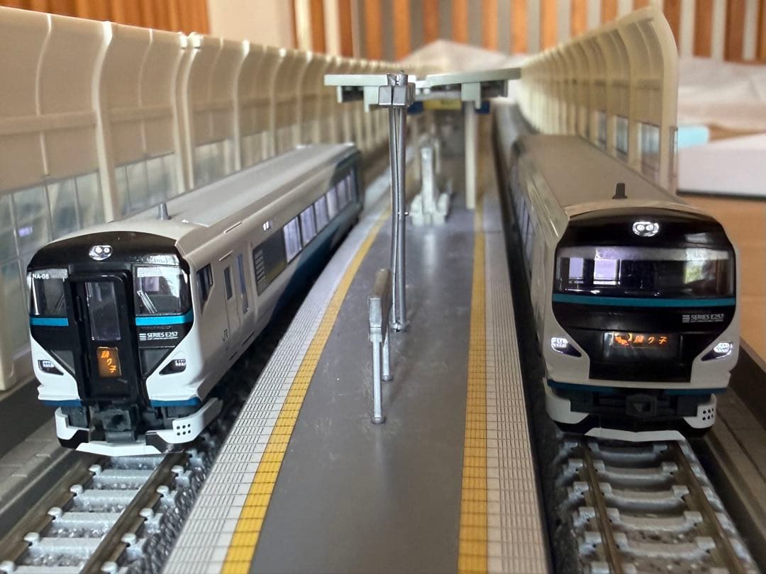 KATO E257系2000番台 踊り子 9両 - メルカリ