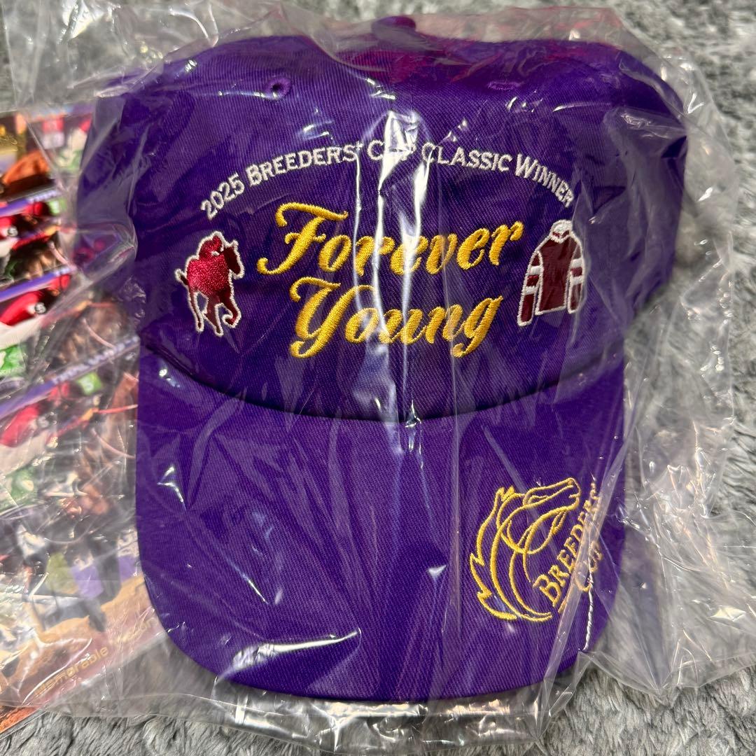 非売品】フォーエバーヤングキャップ Welcomeチャンス ポストカード4枚