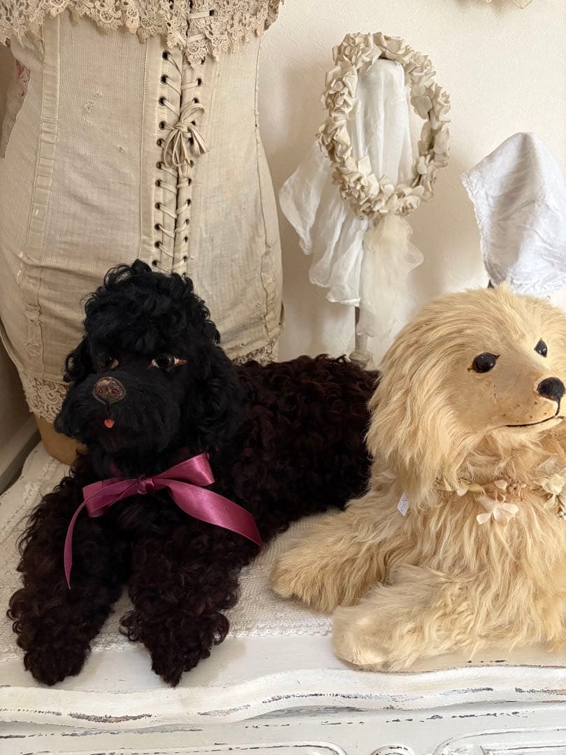 MAICATです☆ ありがとうございます(^^)パジャマドッグ