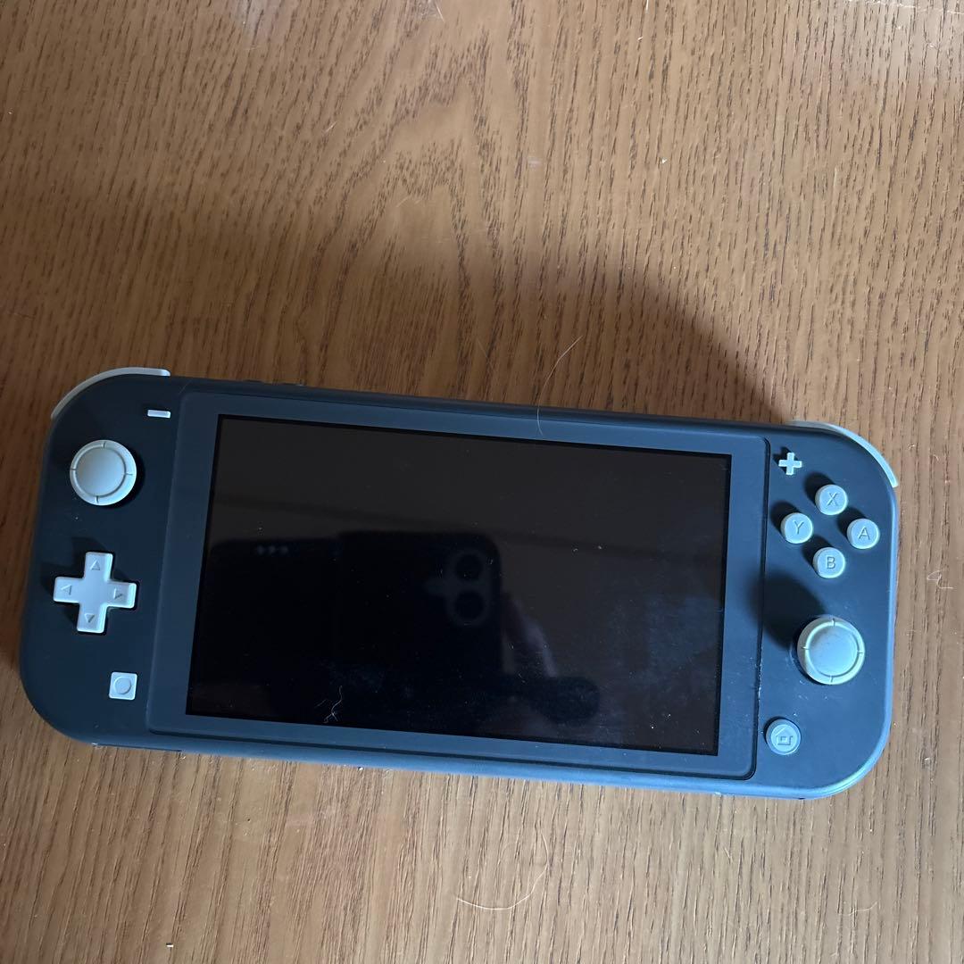 Nintendo Switch Lite グレー 2020年製、本体のみ Nintendo Switch Lite Handheld Gaming Console - Gray, Lightweight