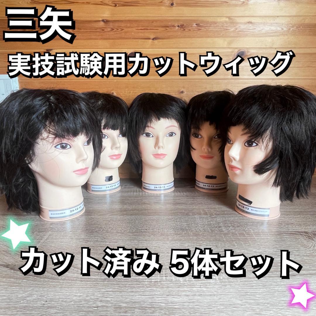 国家試験用カットウィッグ5体 国家試験用カットウィッグ5体 【公式通販】