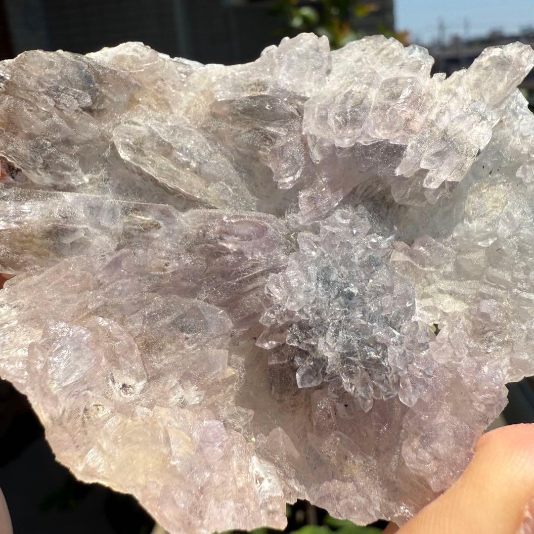 Borders様 リクエスト 10点 まとめ商品 - メルカリ