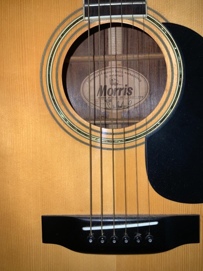Morris W-40 L108139171 - ギターオンライン ストア