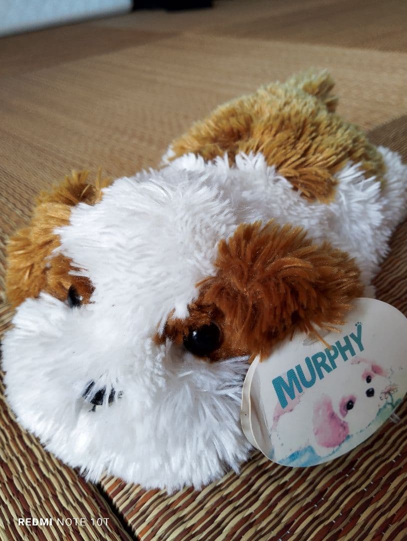 Murphy ぬいぐるみ 犬 白と茶色 - メルカリ