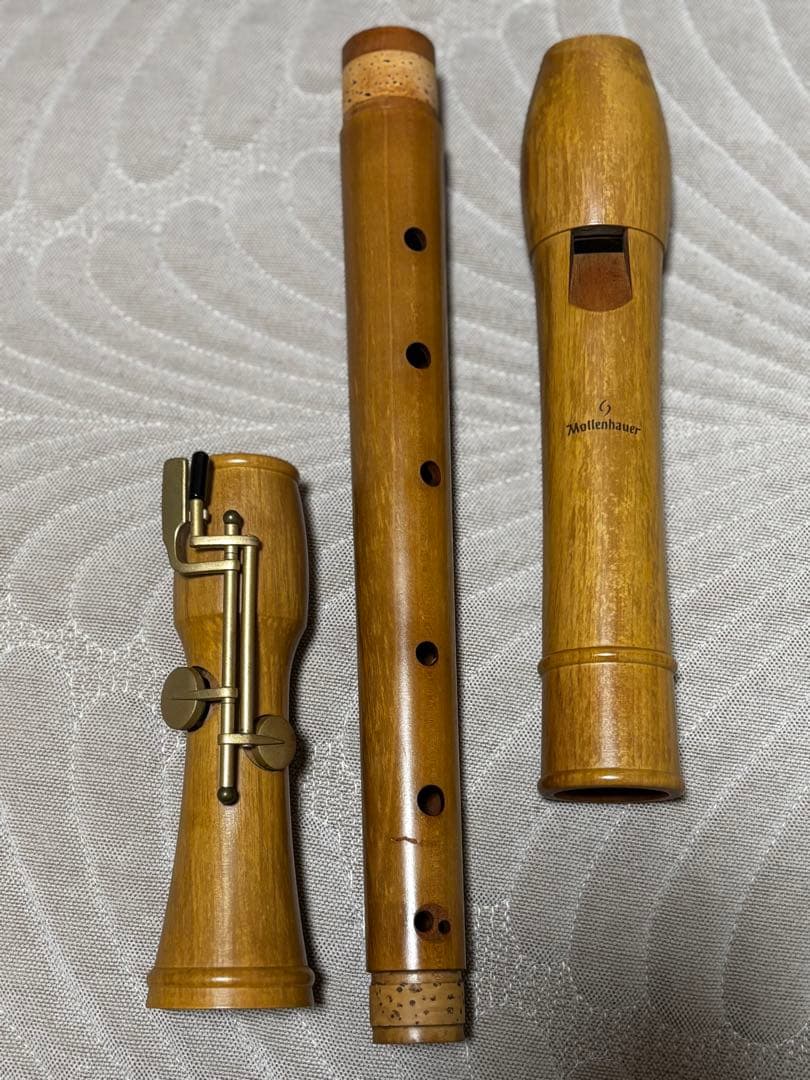 Mollenhauer 2446 Canta テナーリコーダー - メルカリ
