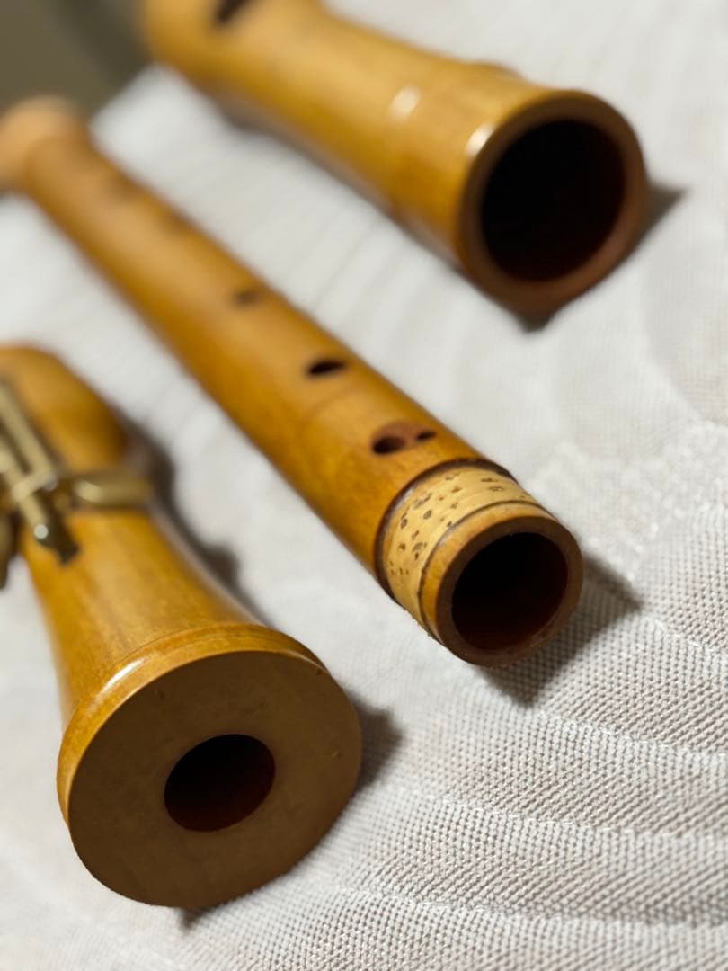 Mollenhauer 2446 Canta テナーリコーダー - メルカリ