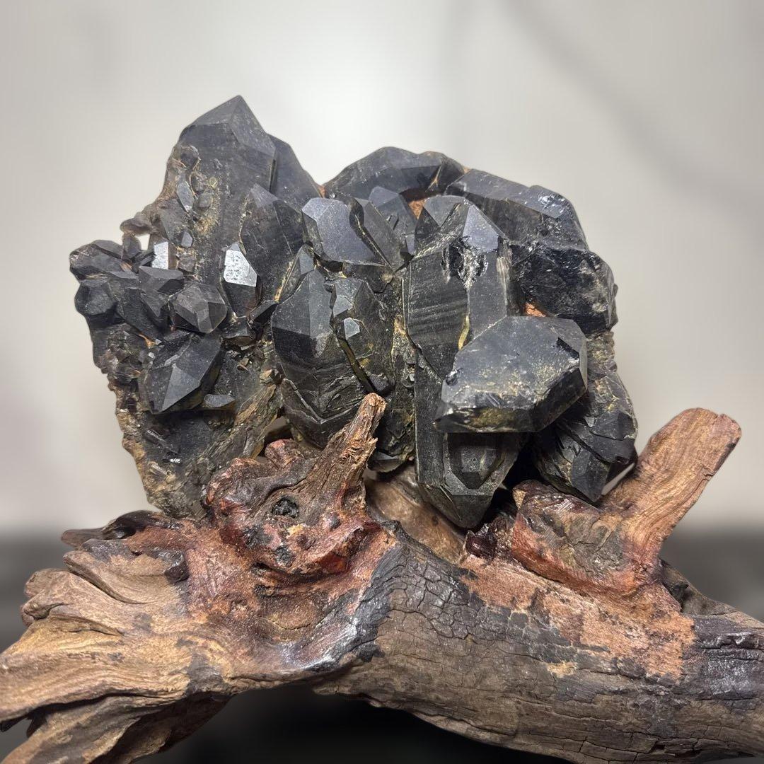 【高品質】山東省産 モリオン 原石 クラスター 台座付 書斎整理品 高品質】山東省産 モリオン 原石 クラスター 台座付 書斎整理品 - メルカリ