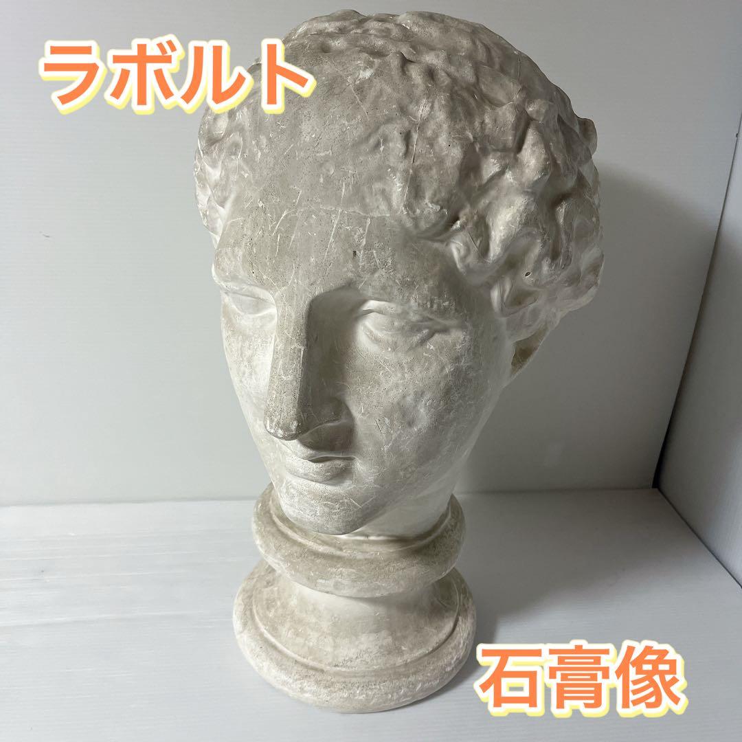ラボルト 石膏像 デッサン 練習用 首像 特大 西洋 - メルカリ