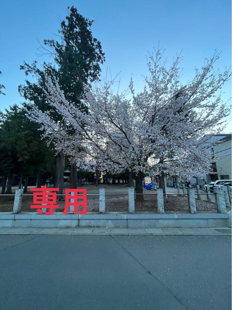 JEORG  シルバー925 ブローチ 224B デンマーク製 Georg Jensen ジョージジェンセン シルバー 224B ブローチ - メルカリ