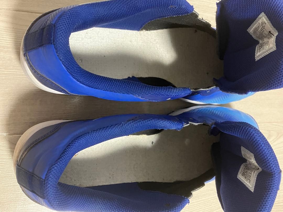 NIKE DIAMOND FASTFLEX 28.5cm 美品