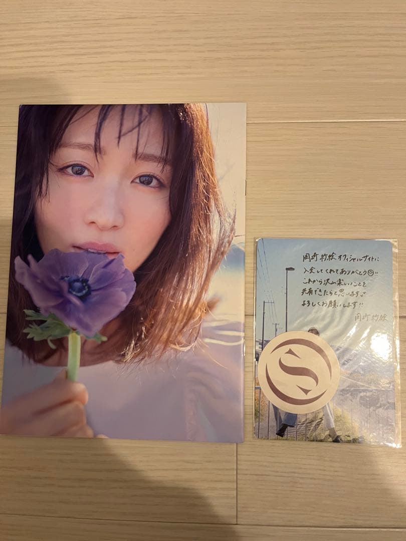レア】岡崎紗絵 ミニフォトブック、サンクスカード、ステッカーセット