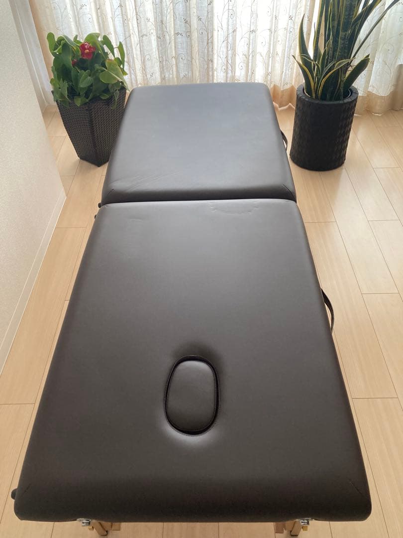 軽量　折りたたみ　マッサージベッド ブラウン　キャリーバッグ付　簡単組立　木製 軽量木製折りたたみベッド EB-03DX（キャリーバッグ付）（ダーク