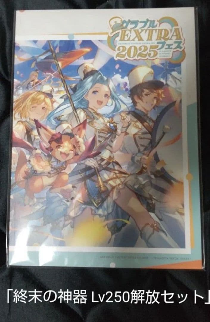 グラブルEXTRA フェス2025 パンフレット 終末の神器 Lv250解放 - メルカリ