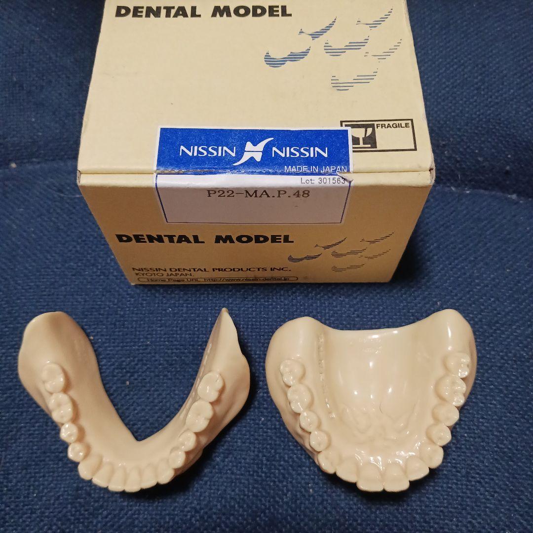 NISSIN デンタルモデル 歯科 ニッシン 歯科技工 義歯 模型 無歯顎