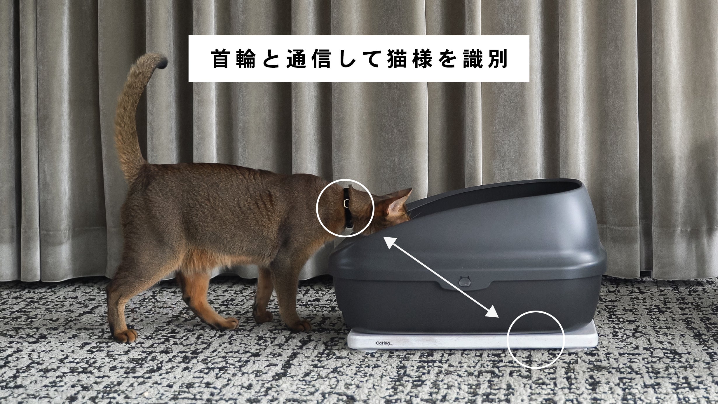 いつものトイレで猫様の体重と尿量・回数を自動で記録するCatlog Board