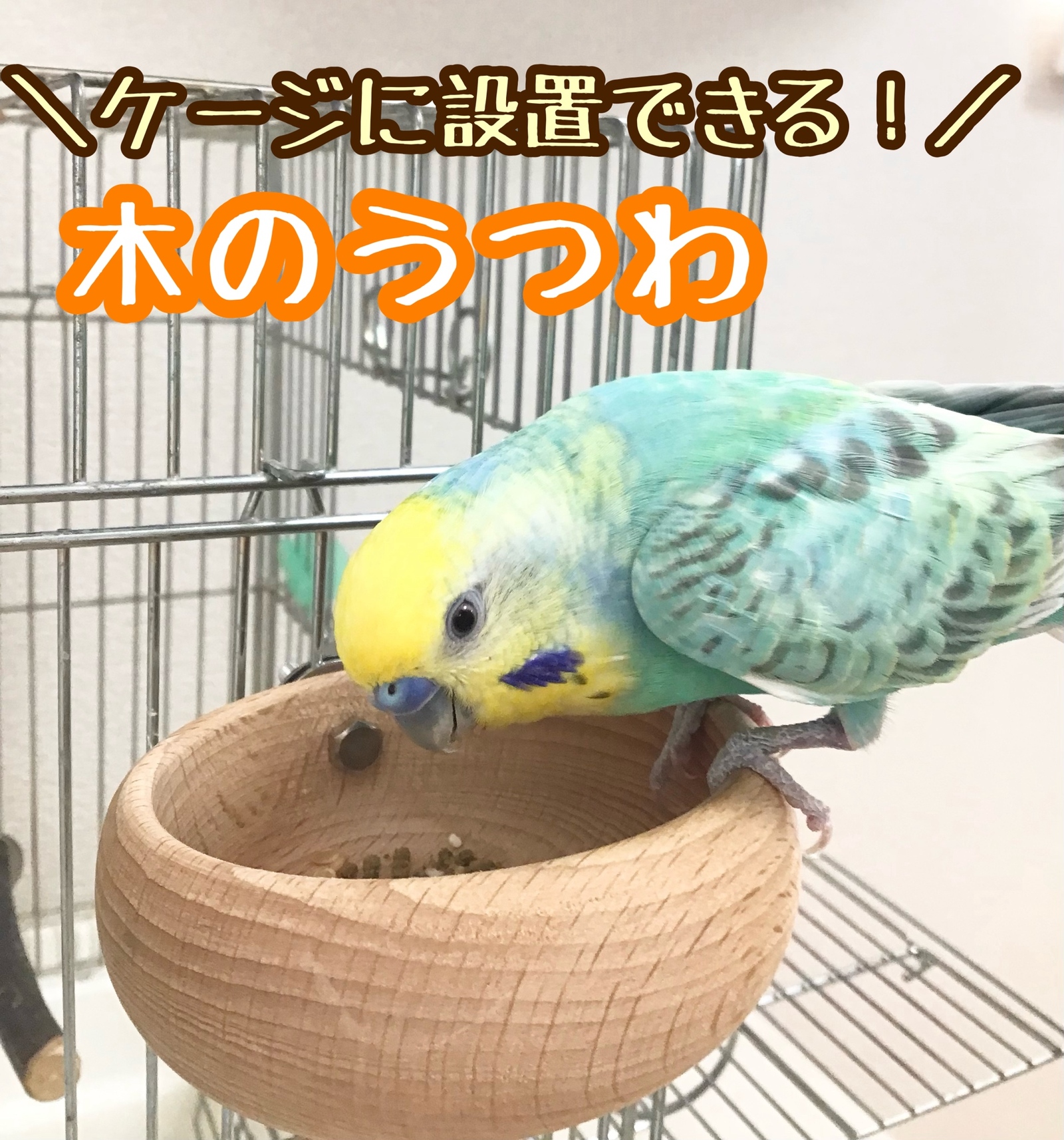 お試し価格】フォージングミラー☆インコや文鳥の小鳥のハンドメイド
