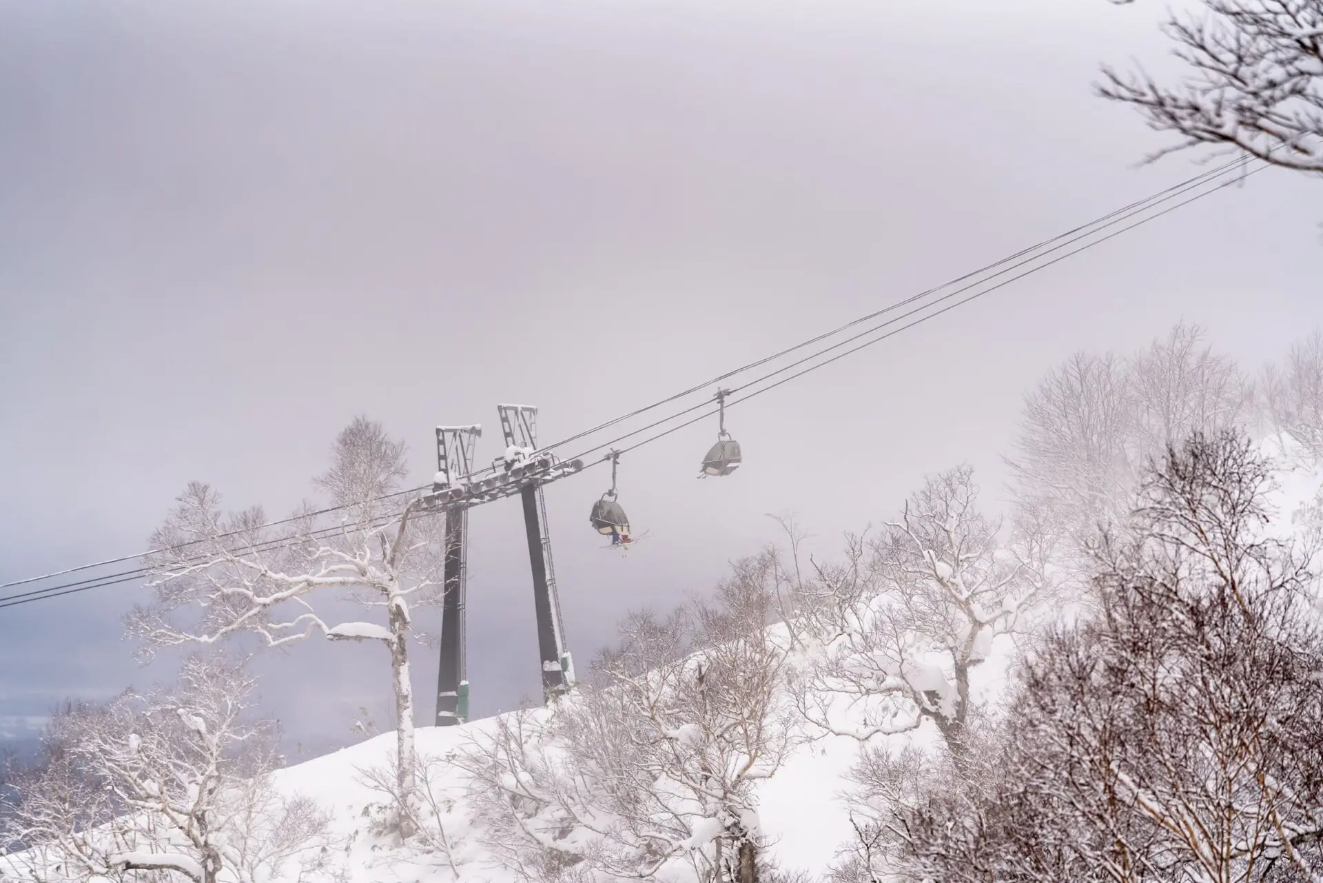 ニセコモイワスキーリゾート【'25ｰ26】 | スキー・スノーボード情報