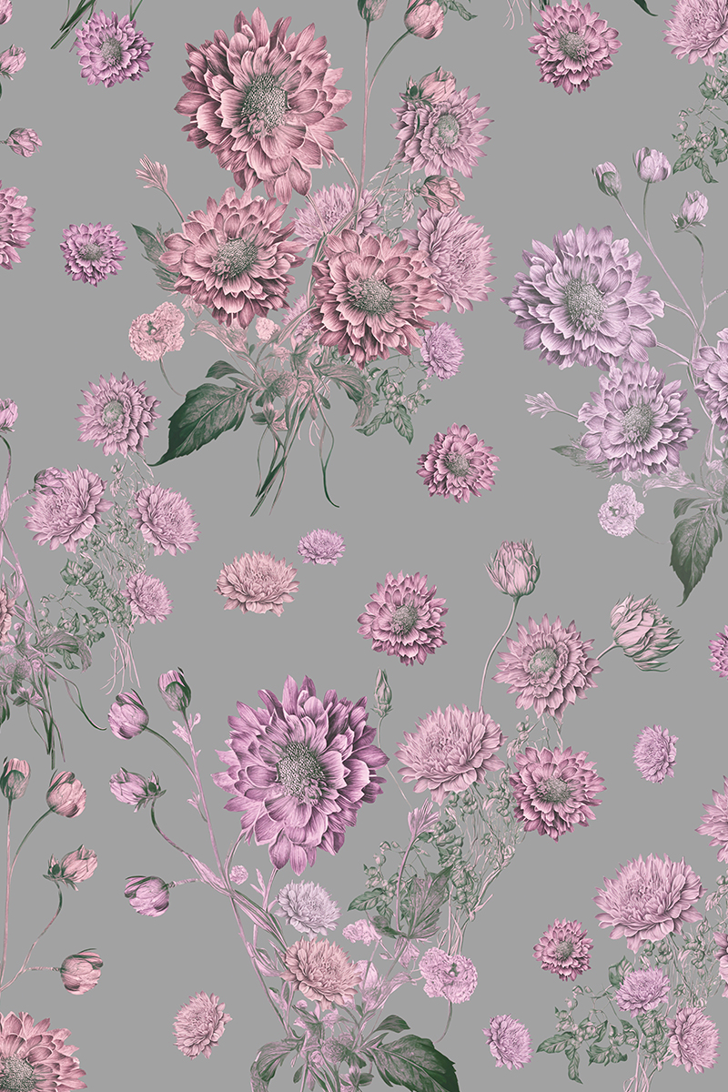 stina / type K boat neck / Dahlia imperialis silver gray