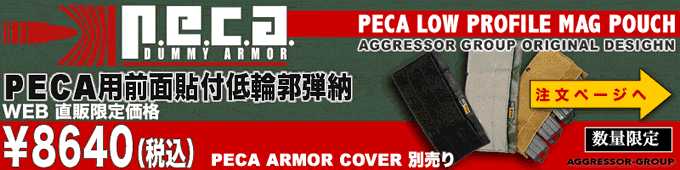AGGRESSOR GROUP WEB SHOP / PECA PERSONAL BODY ARMOR REP V3 CORDURA