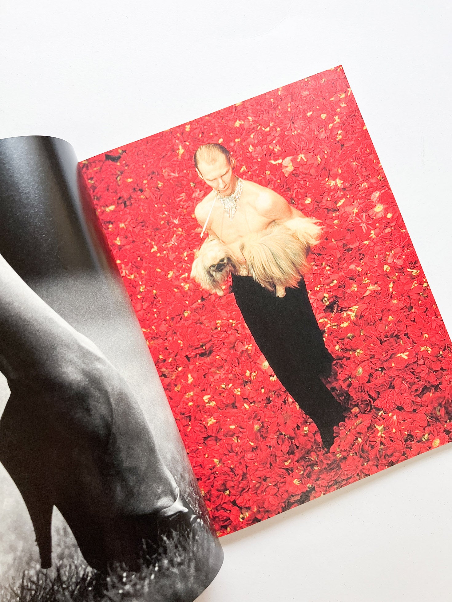 A MAGAZINE CURATED BY YOHJI YAMAMOTO - 本 屋 青 旗 Ao-Hata Bookstore