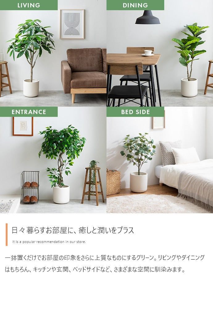 光触媒人工観葉植物 ユーカリ 高さ130cm | 【公式】allecore(アレコレ
