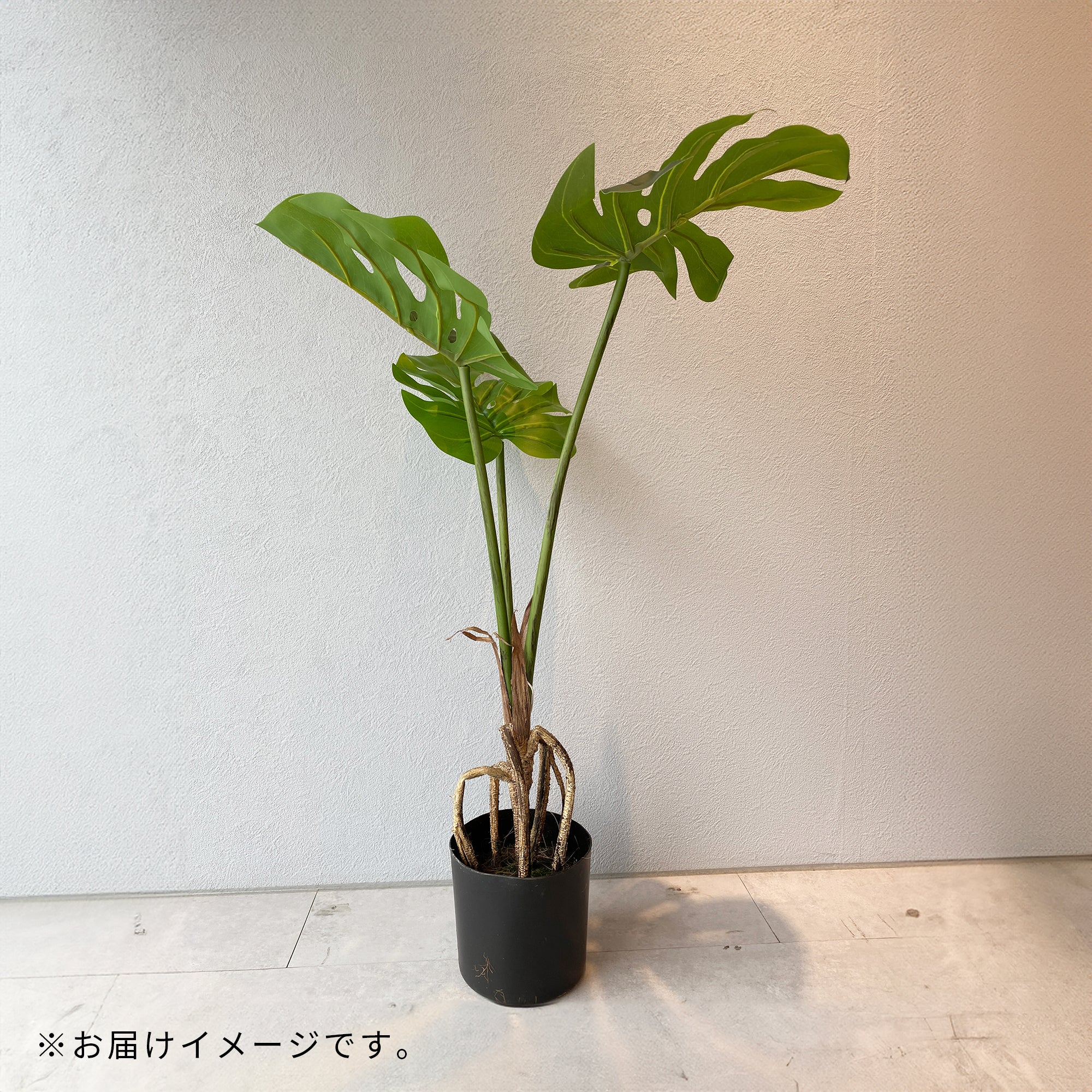 モンステラ - フェイクグリーン専用通販サイト – フェイクグリーン専門