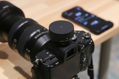 特別企画：自宅で手軽にライティング！「Profoto C1 Plus」を使った花