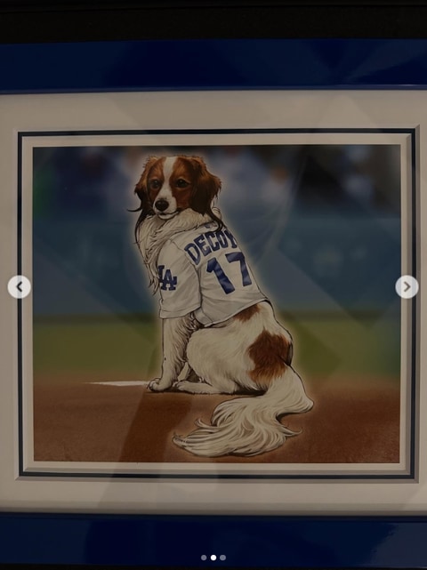 大谷翔平選手の愛犬・デコピンが遊戯王カード化！ Instagramにて公開