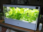 家電製品ミニレビュー】ユーイング「水耕栽培 Green Farm」 - 家電 Watch