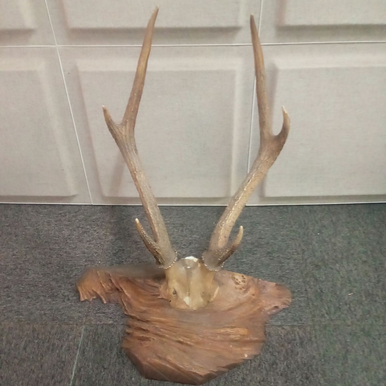 ◯ 鹿の角 刀掛け 置き物 レトロ アンティーク 美術品 - メルカリ