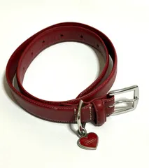 2026年最新】coach リード 犬の人気アイテム - メルカリ