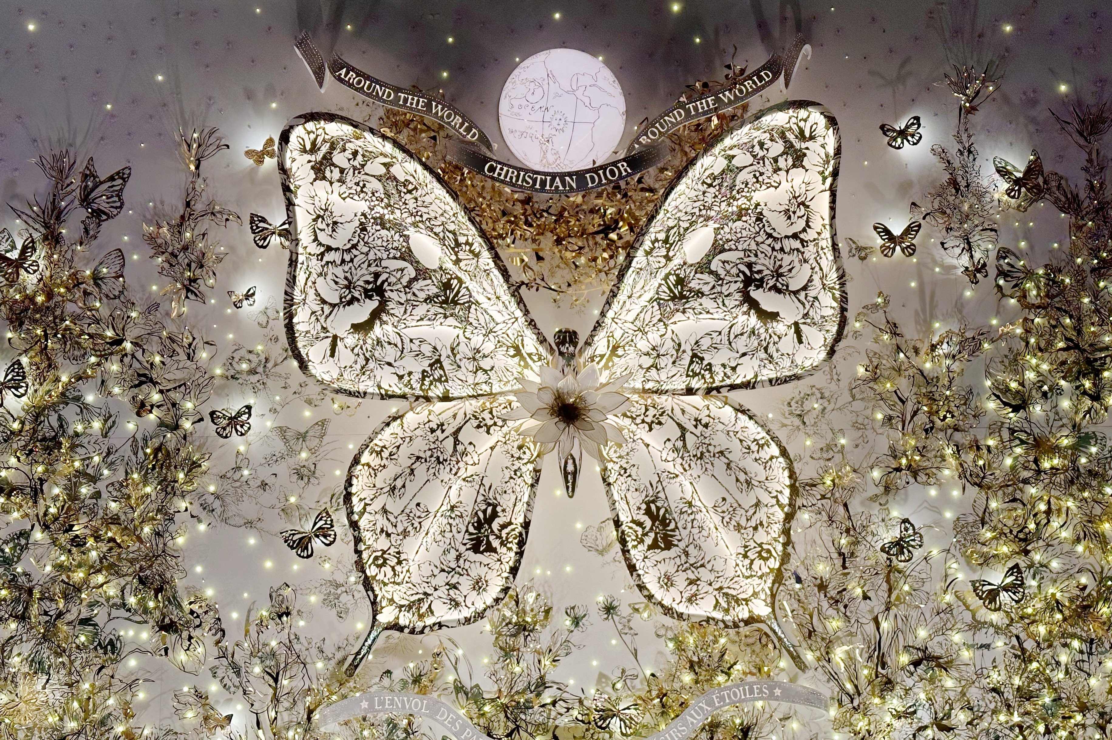 クリスチャンディオールの蝶のモチーフ #6348｜稲垣純也
