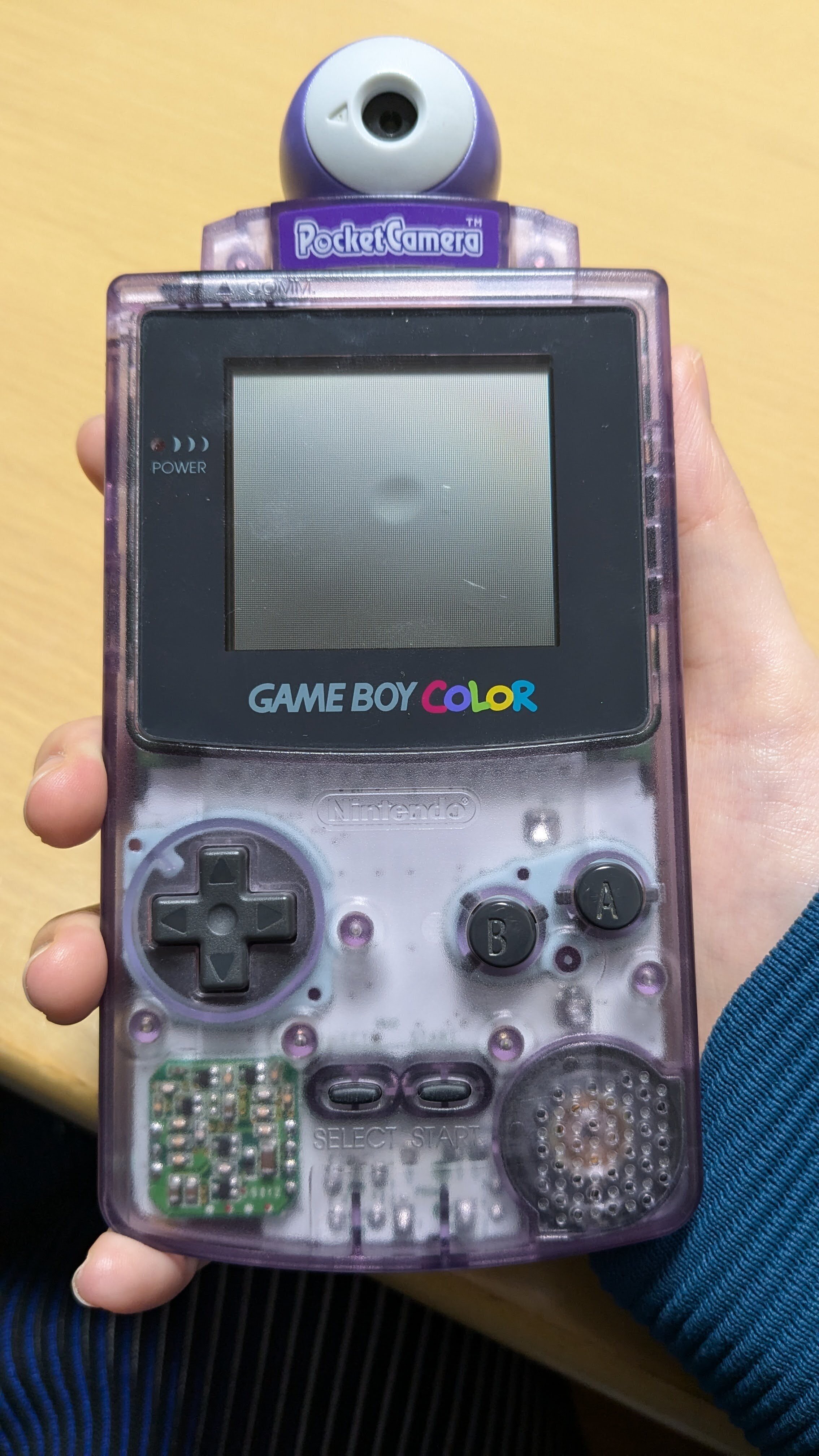 GAME BOY Pocket Cameraを持って外に出よう！（撮影からデータの保存