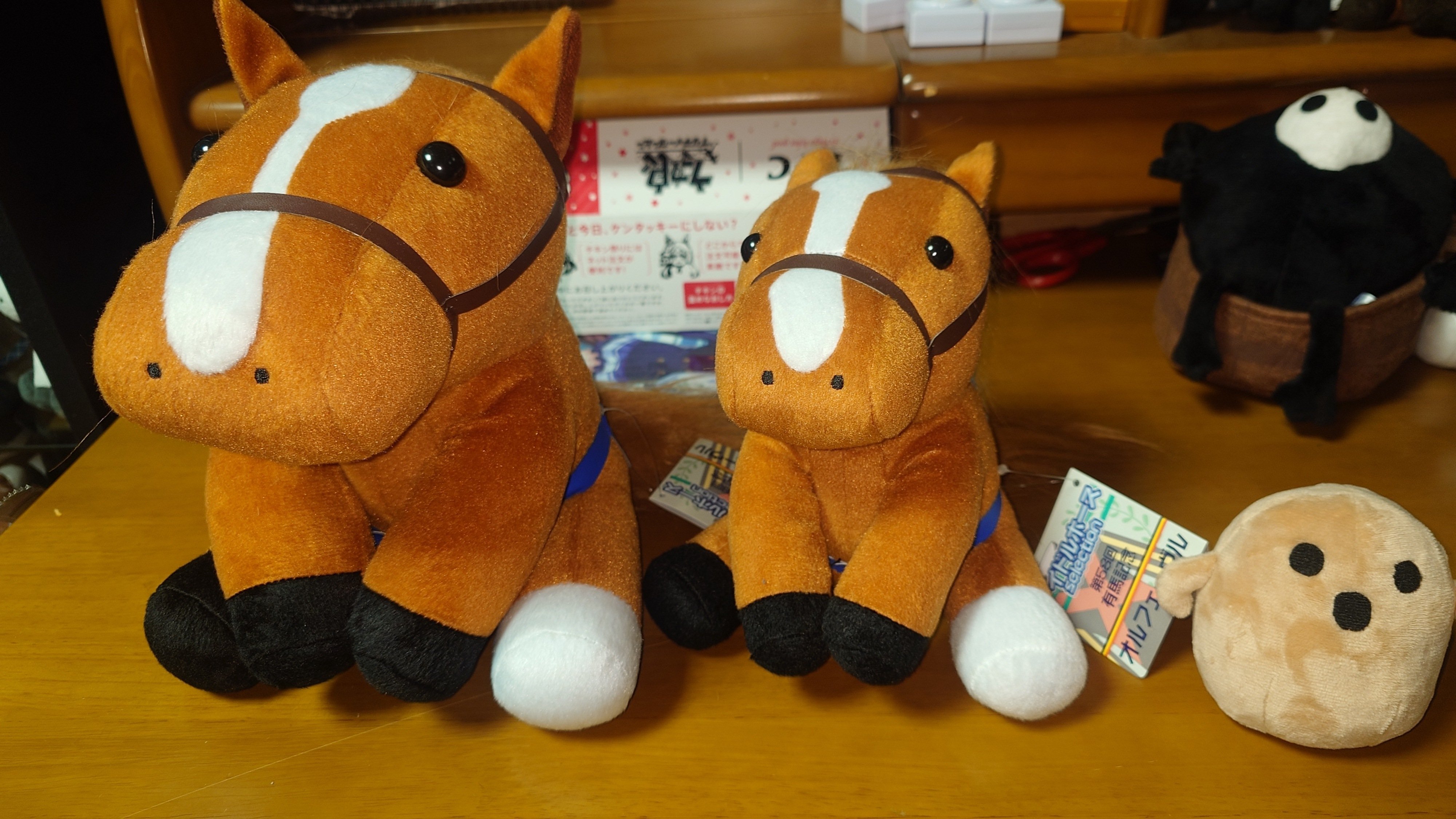 アイドルホース Lサイズ(コウジチュウダヨ)｜デカル(ΦωΦ＊)のアイドル