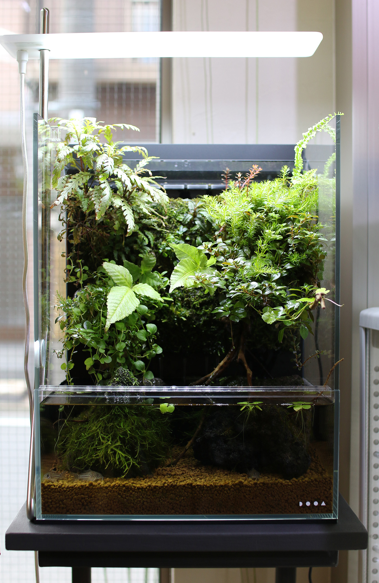 ADA 山水石セット約19キロ（箱含む） DOOA パルダリウム テラリウム