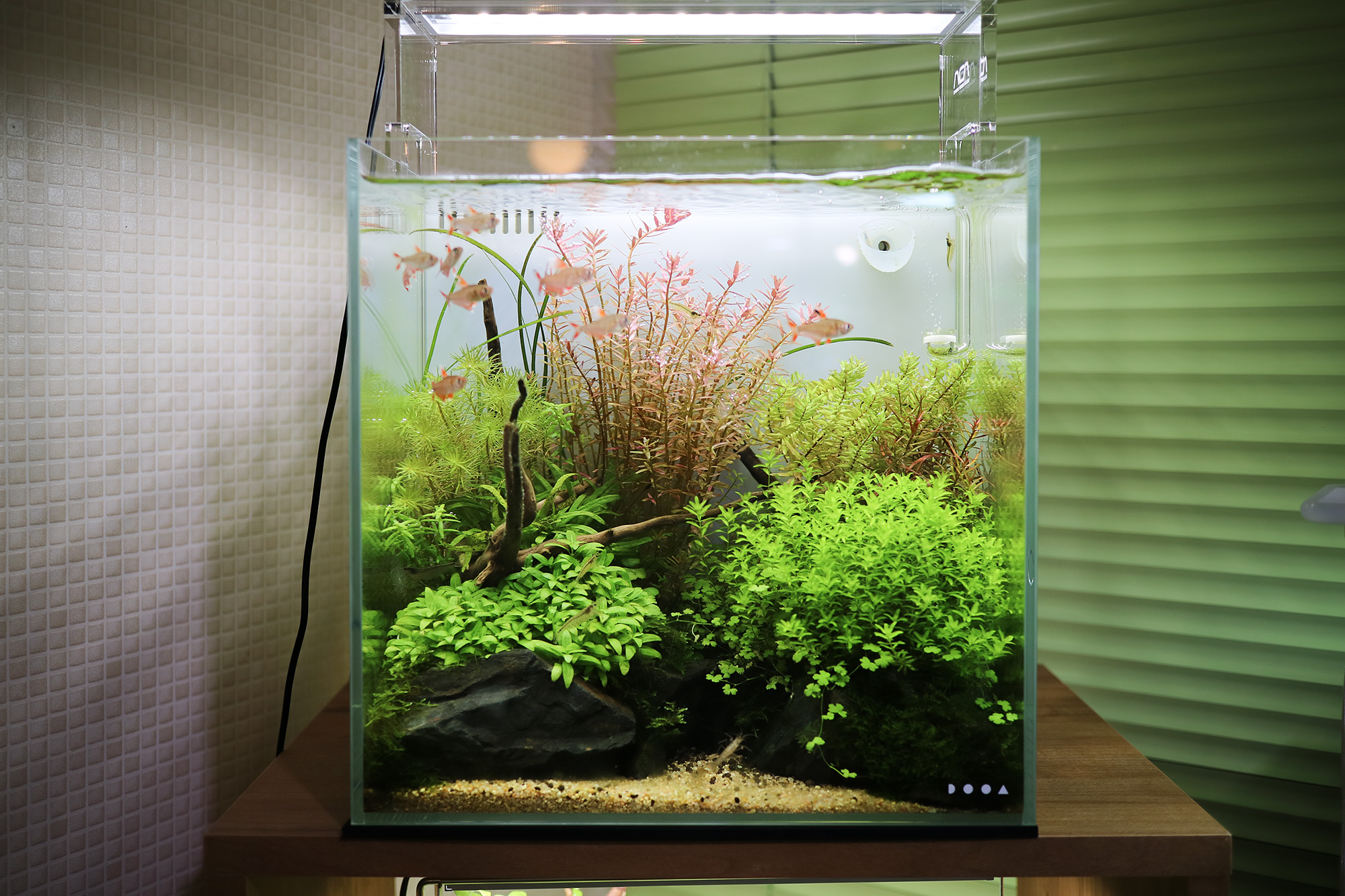 オールインワン水槽｜DOOAシステムアクア30「楽園」