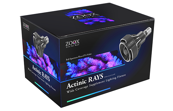 レイズ｜ZOOX｜MMC企画 レッドシー事業部