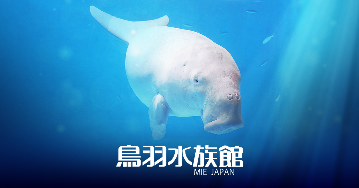 開館70周年記念特設サイトを開設しました | 鳥羽水族館 公式サイト