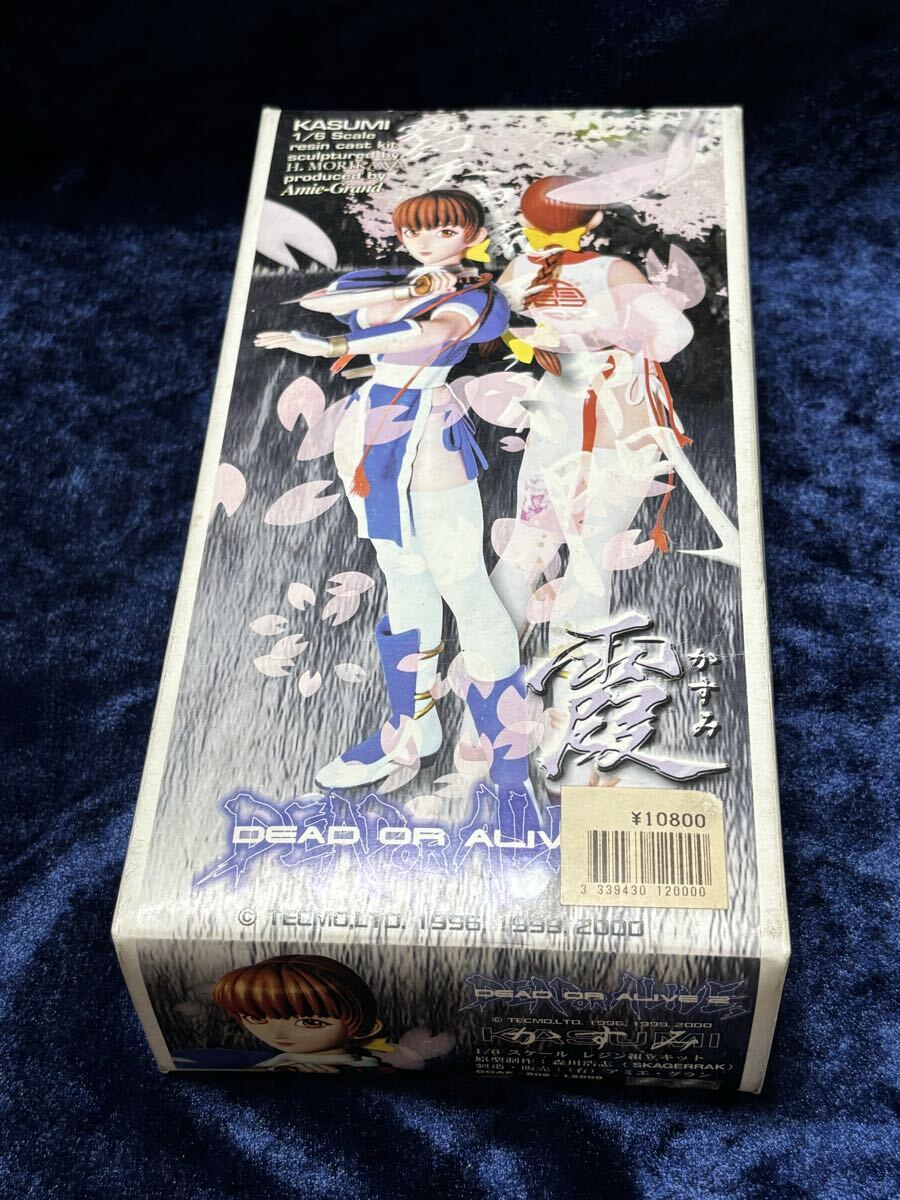 Yahoo!オークション -「デッド オア アライブ ガレージキット」の落札