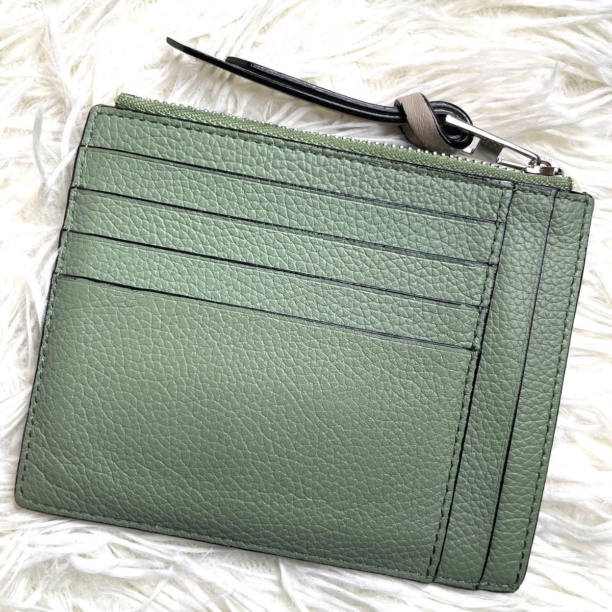 美品 入手困難 / LOEWE ロエベ ラージコインカードホルダー