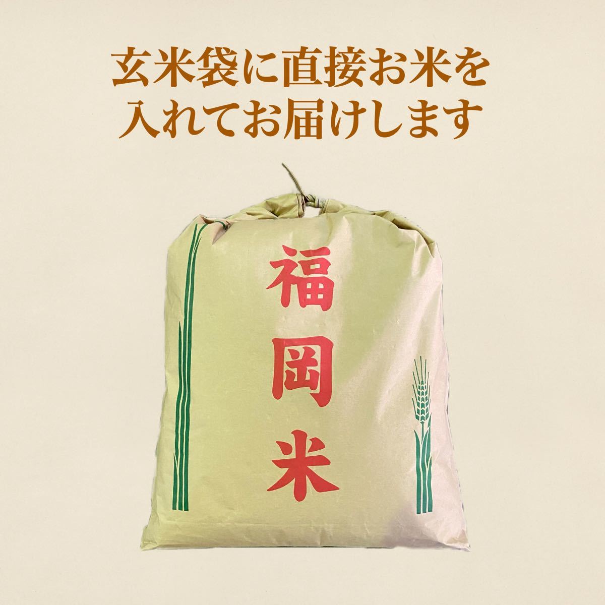 くず米 20kg 米・雑穀 鳥の餌 飼料 お得 安い｜Yahoo!フリマ（旧PayPay