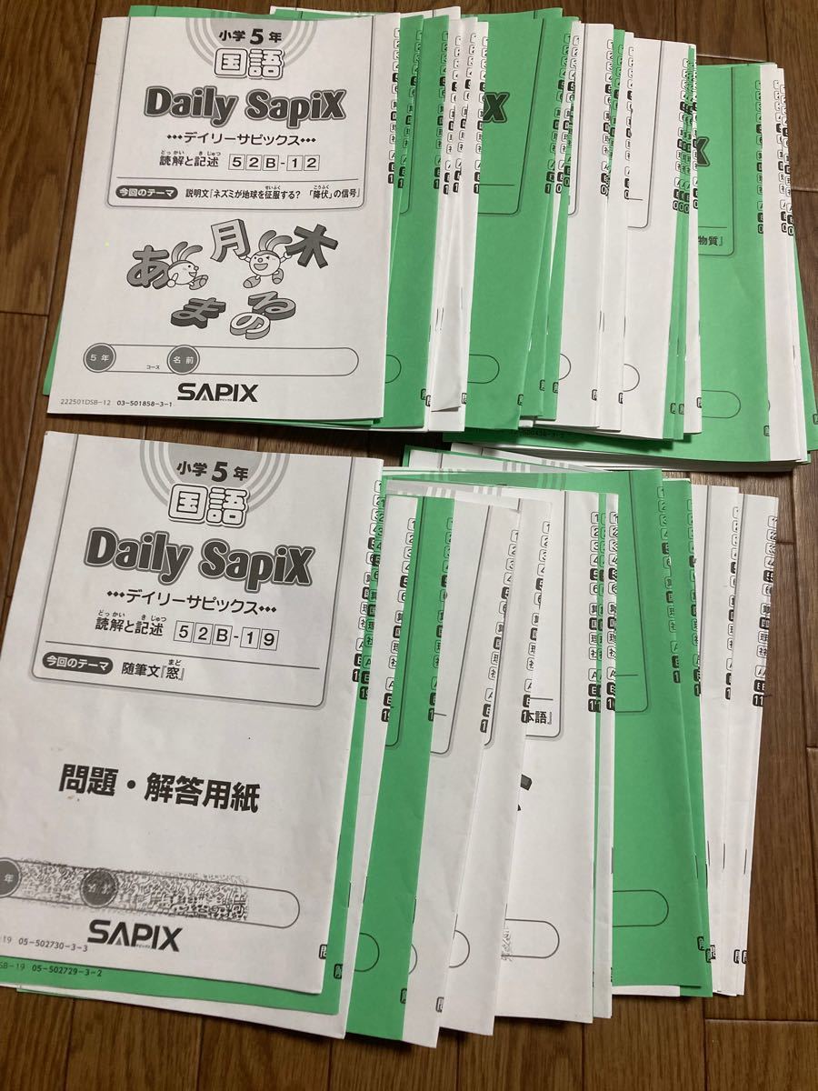 2022年度版 SAPIX 小5 国語 デイリーサピックス01-19｜Yahoo!フリマ