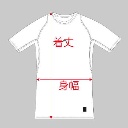 ballaholic 2 Pieces Crew Tee (gray) – ballaholicオンラインショップ