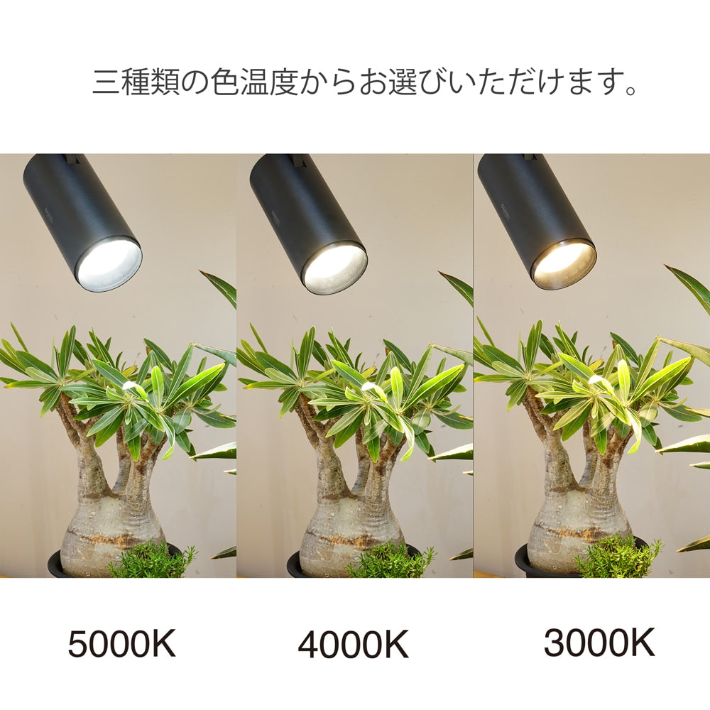 HADES-85-20W】CCT: 3000K/4000K/5000K – BARREL PLANT LIGHT
