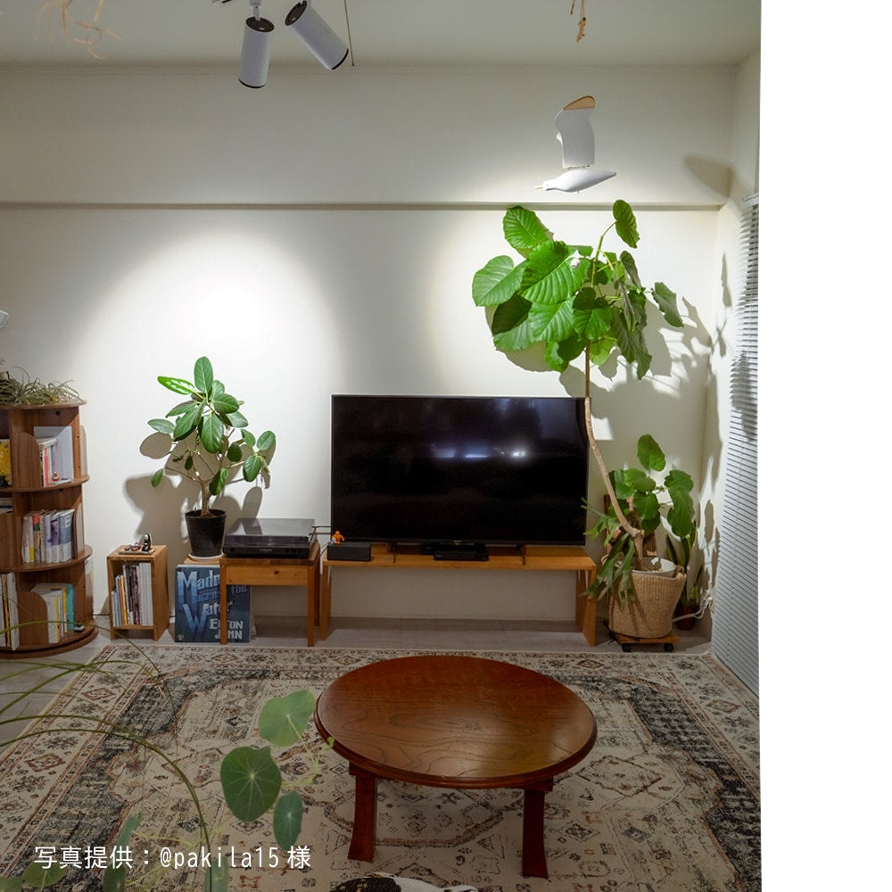 HADES-85-20W】CCT: 3000K/4000K/5000K – BARREL PLANT LIGHT