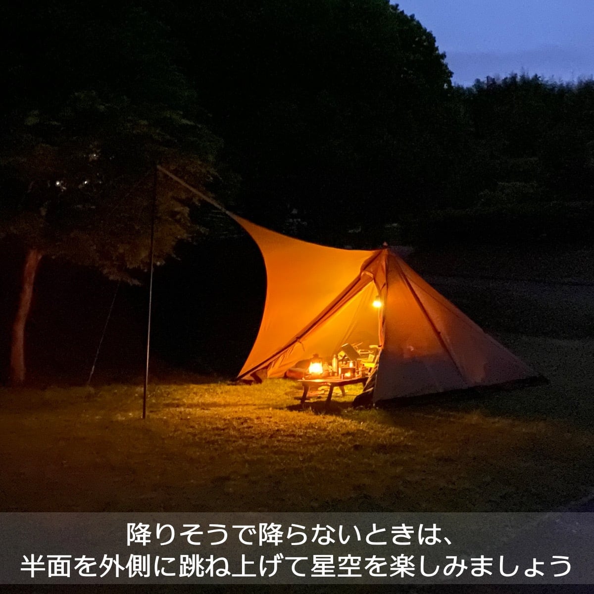 生産終了】シルス170TC（パンダTCシリーズ向け） | 熱田野営具店