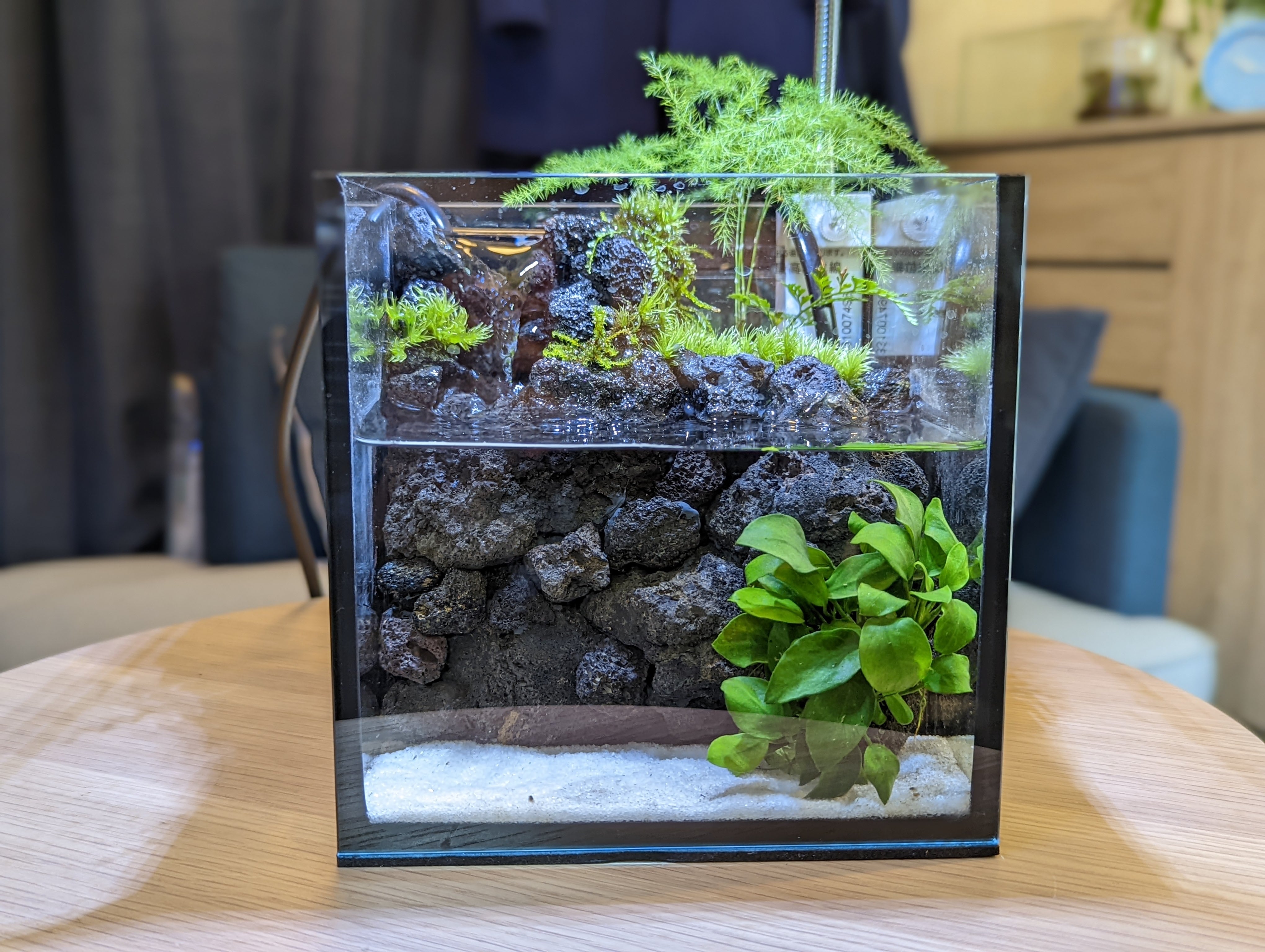 ミニ水槽「滝が流れ落ちるアクアテラリウム」 | minirium garden