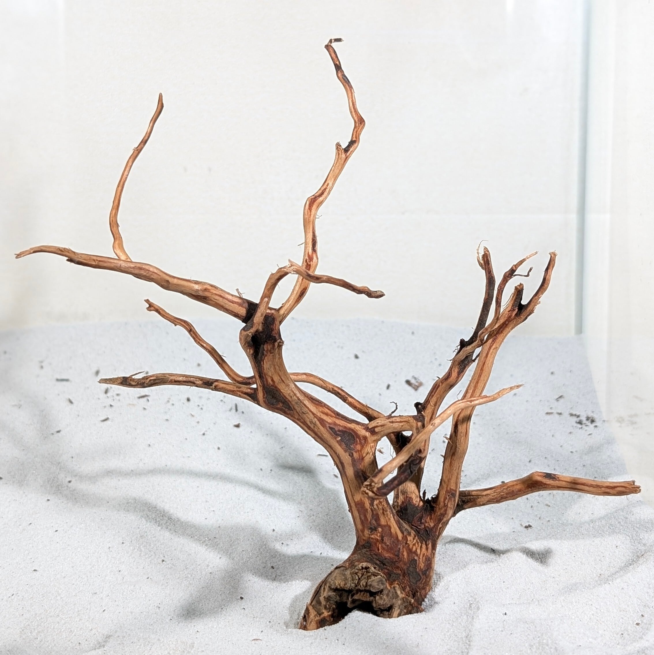 MDW-7159特大ブランチウッド アクアリウム・DIY向け 特大サイズ塊根