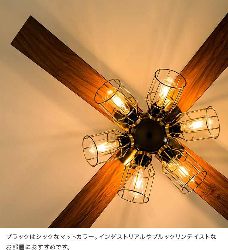 Modern Collection シーリングファン フィラメントLED 6灯 – BeauBelle本店