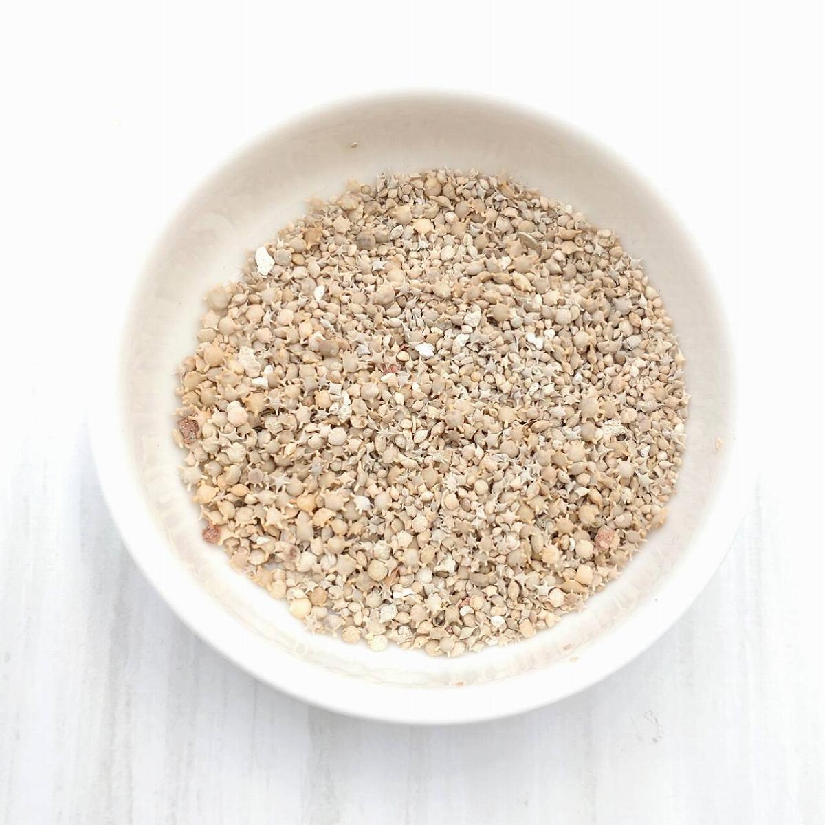 星の砂 星砂 沖縄県石垣島産 10g レジン用 天然 無漂白 封入用 封入